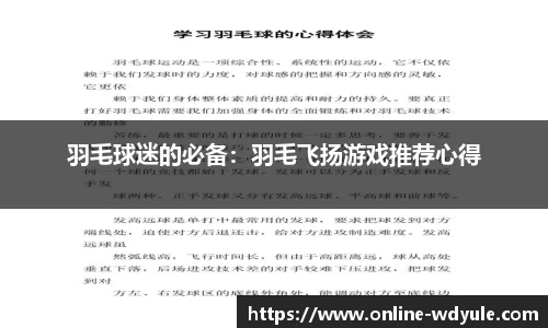 羽毛球迷的必备：羽毛飞扬游戏推荐心得
