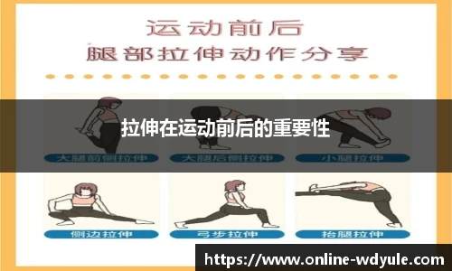 拉伸在运动前后的重要性